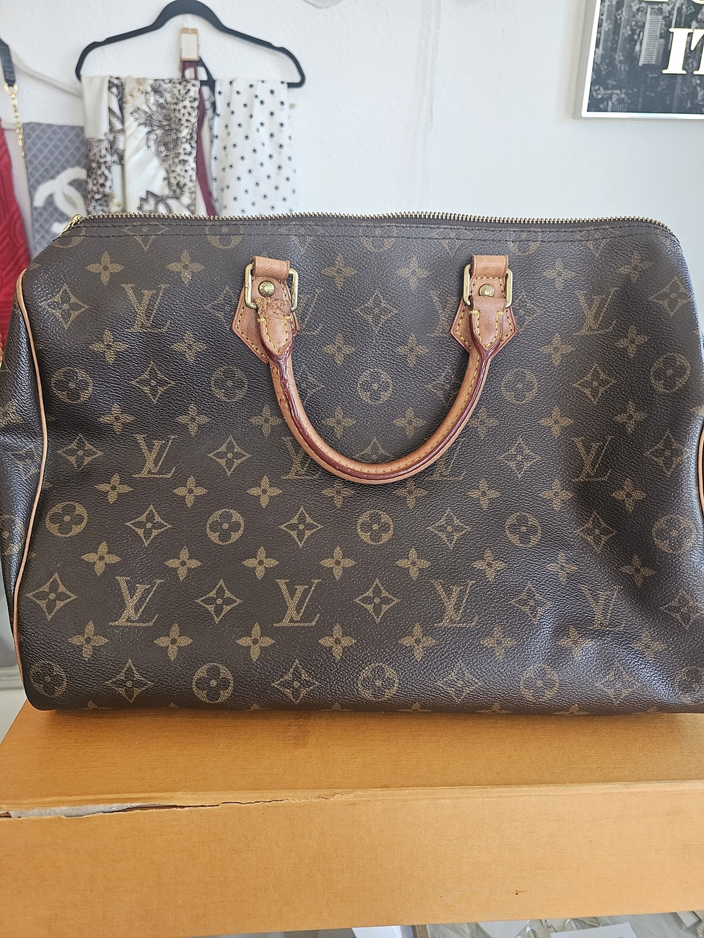 Louis Vuitton Monogram Speedy 30 Canvas